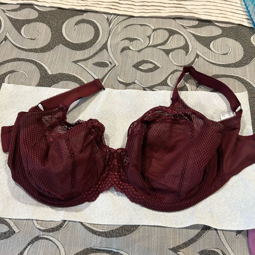 Eloni burgundy bra - Picture 2 of 5